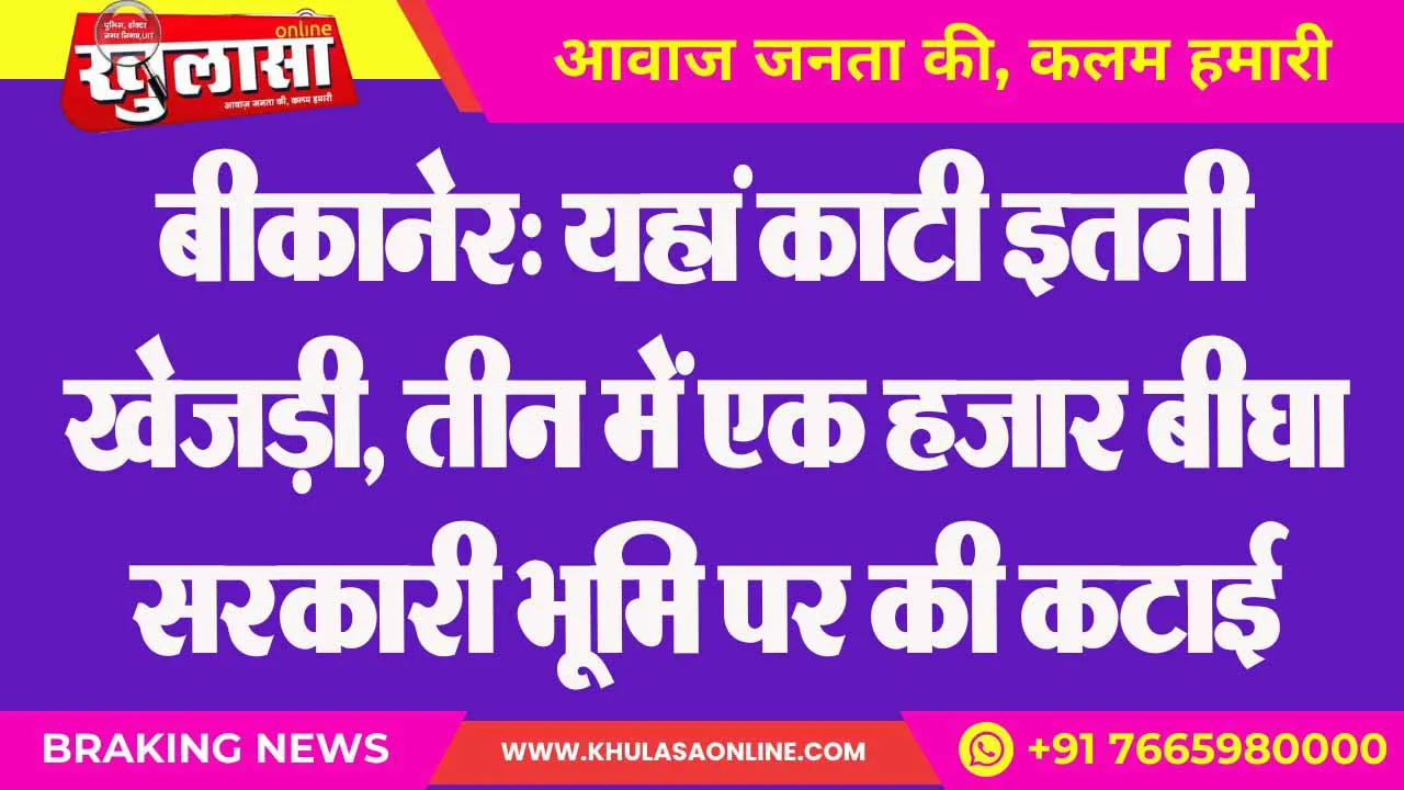 बीकानेर: यहां काटी इतनी खेजड़ी, तीन में एक हजार बीघा सरकारी भूमि पर की कटाई