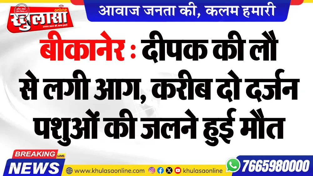 बीकानेर : दीपक की लौ से लगी आग, करीब दो दर्जन पशुओं की जलने हुई मौत
