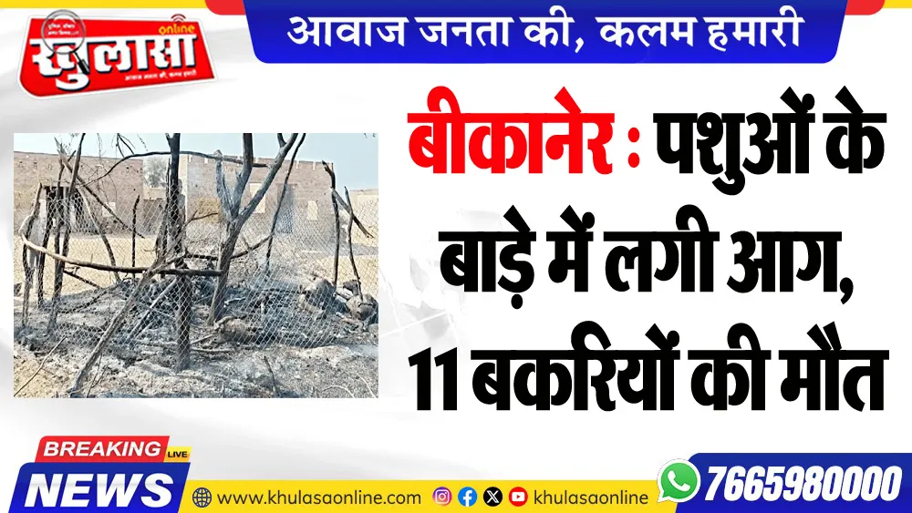 बीकानेर : पशुओं के बाड़े में लगी आग, 11 बकरियों की मौत