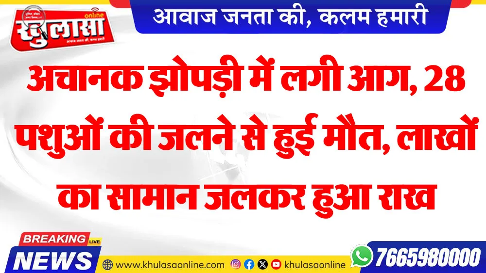 अचानक झोपड़ी में लगी आग, 28 पशुओं की जलने से हुर्ई मौत, लाखों का सामान जलकर हुआ राख