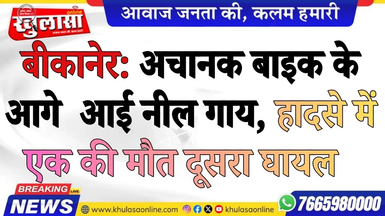बीकानेर: अचानक बाइक के आगे  आई नील गाय, हादसे में एक की मौत दूसरा घायल