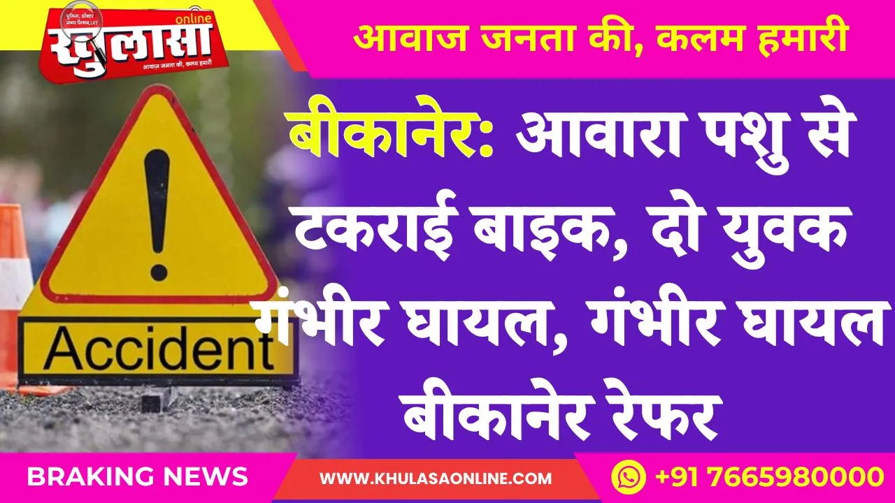 बीकानेर: आवारा पशु से टकराई बाइक, दो युवक गंभीर घायल, गंभीर घायल बीकानेर रेफर