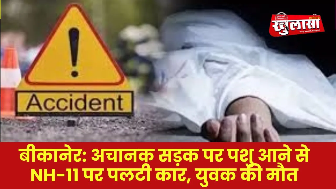 बीकानेर: अचानक सड़क पर पशु आने से NH-11 पर पलटी कार, युवक की मौत