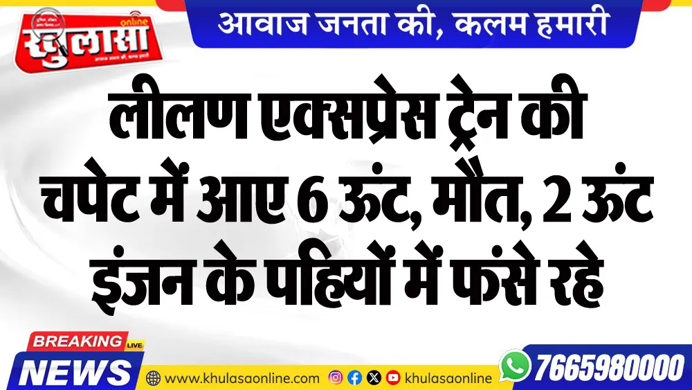 लीलण एक्सप्रेस ट्रेन की चपेट में आए 6 ऊंट, मौत, 2 ऊंट इंजन के पहियों में फंसे रहे