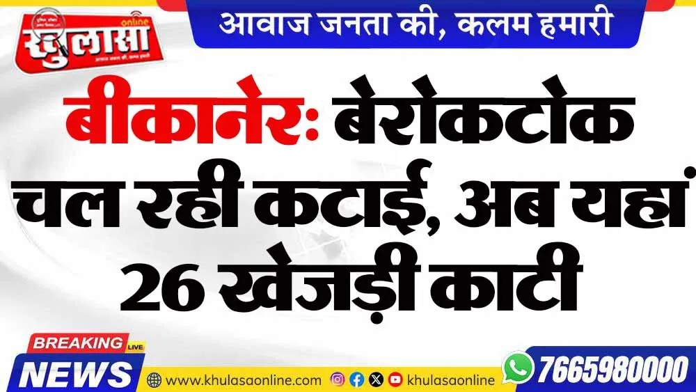 बीकानेर: बेरोकटोक चल रही कटाई, अब यहां 26 खेजड़ी काटी