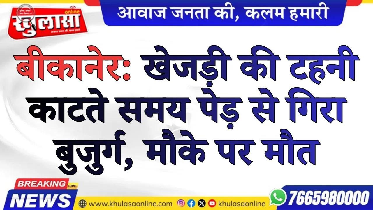 बीकानेर: खेजड़ी की टहनी काटते समय पेड़ से गिरा बुजुर्ग, मौके पर मौत