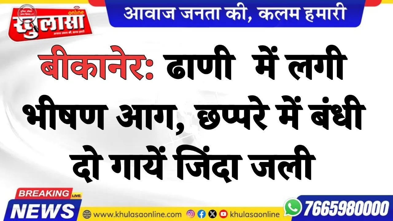 बीकानेर: ढाणी  में लगी भीषण आग, छप्परे में बंधी दो गायें जिंदा जली