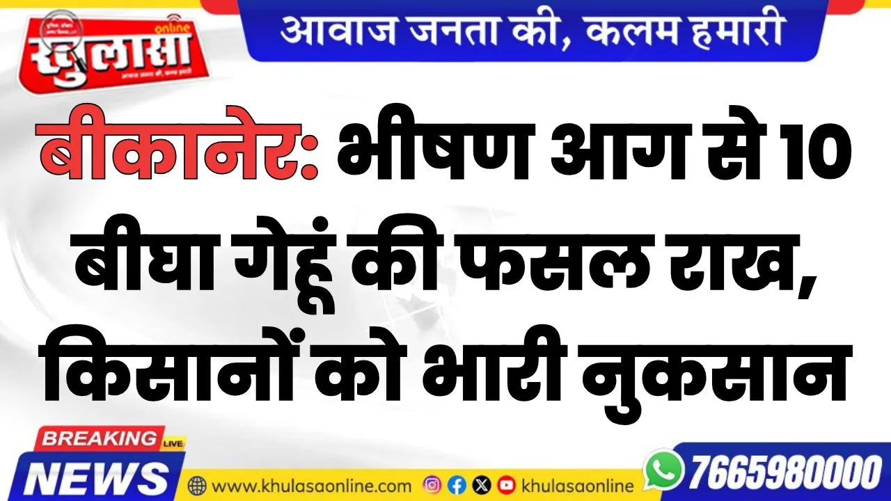 बीकानेर: भीषण आग से 10 बीघा गेहूं की फसल राख, किसानों को भारी नुकसान