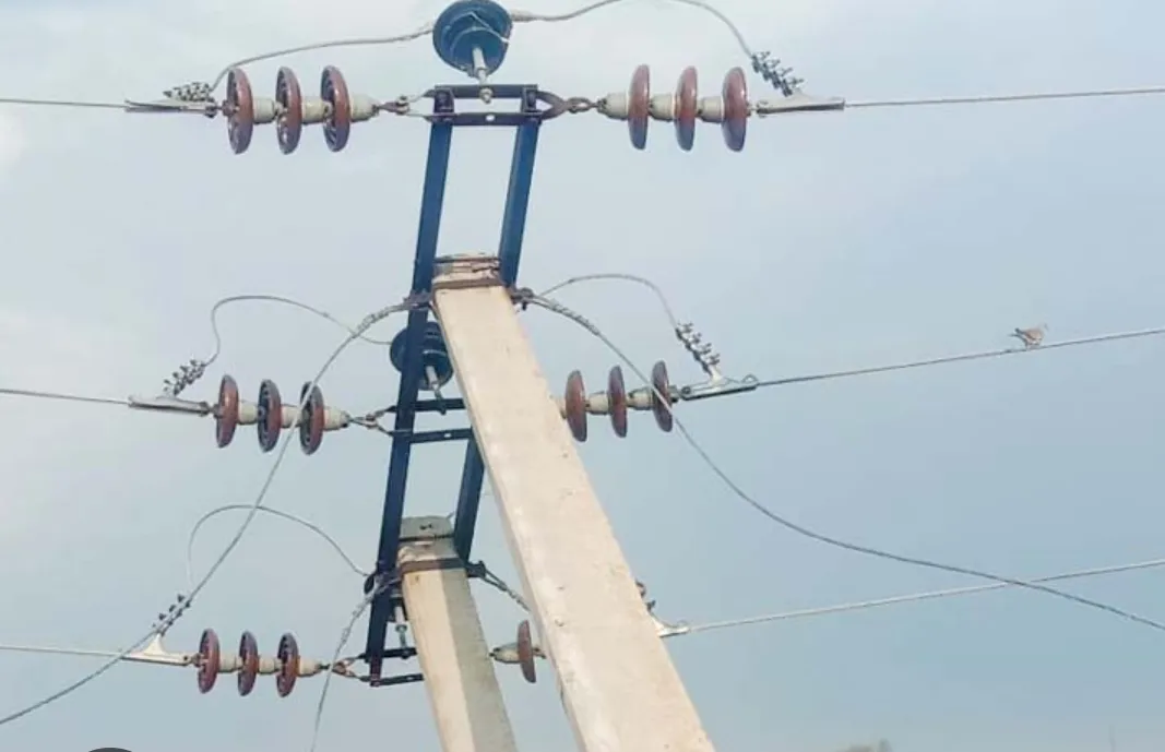 तेज अंधड़ से महाजन में बिजली व्यवस्था ठप:पेड़ और खंभे गिरने से कई क्षेत्र प्रभावित,