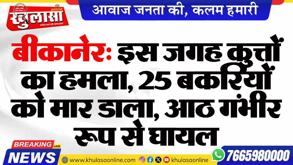 बीकानेर: इस जगह कुत्तों का हमला, 25 बकरियों को मार डाला, आठ गंभीर रूप से घायल