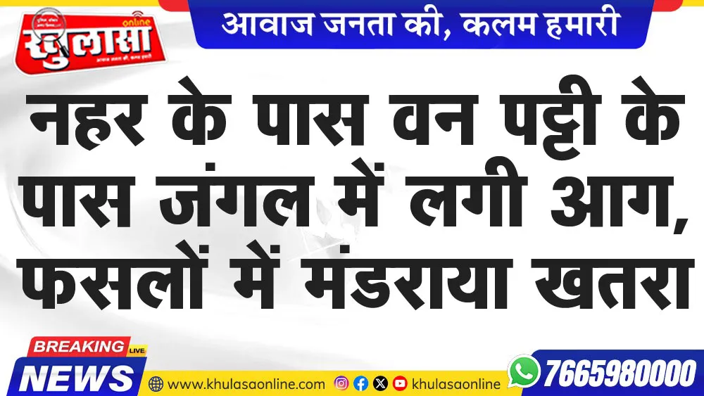 नहर के पास वन पट्टी के पास जंगल में लगी आग, फसलों में मंडराया खतरा