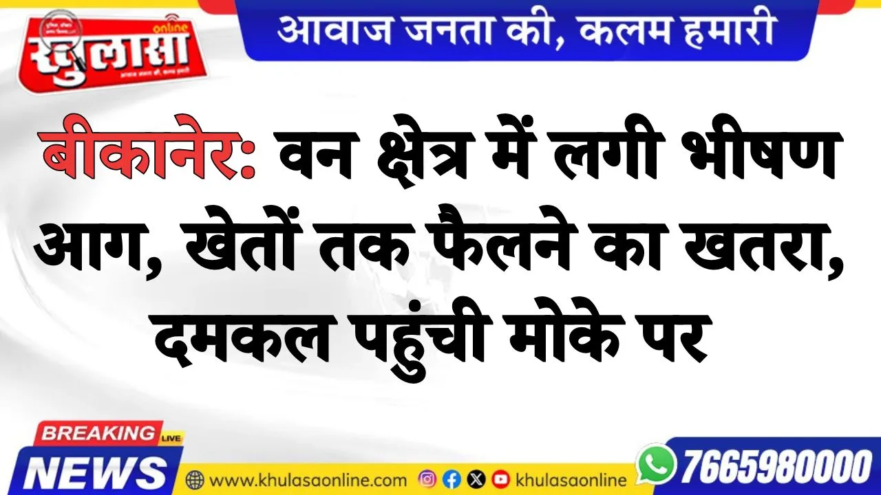 बीकानेर: वन क्षेत्र में लगी भीषण आग, खेतों तक फैलने का खतरा, दमकल पहुंची मोके पर