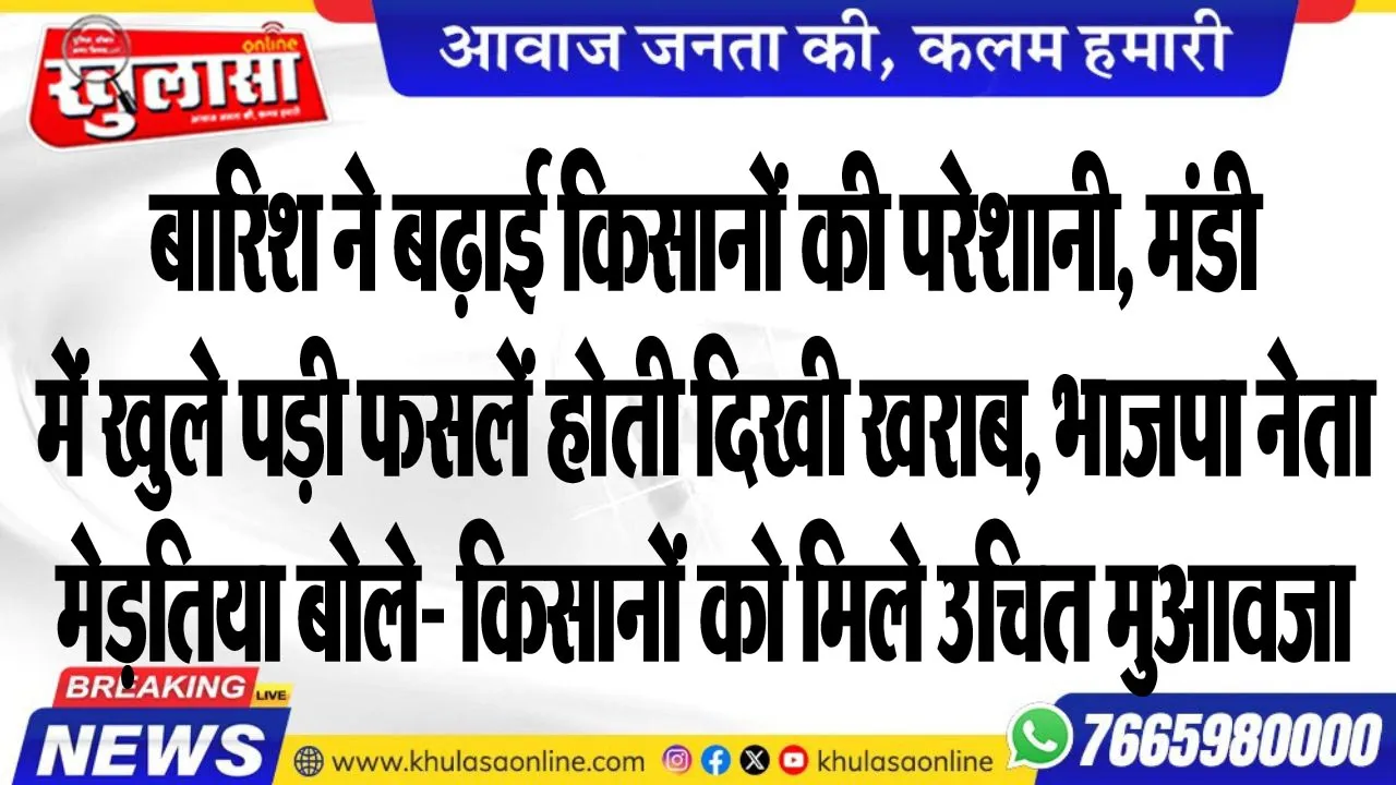 बारिश ने बढ़ाई किसानों की परेशानी, मंडी में खुले पड़ी फसलें होती दिखी खराब, भाजपा नेता मेड़तिया बोले- किसानों को मिले उचित मुआवजा