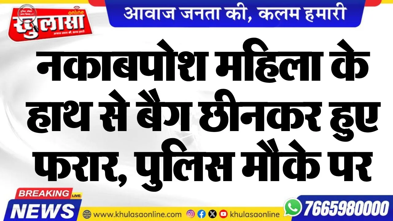 नकाबपोश महिला के हाथ से बैग छीनकर हुए फरार, पुलिस मौके पर