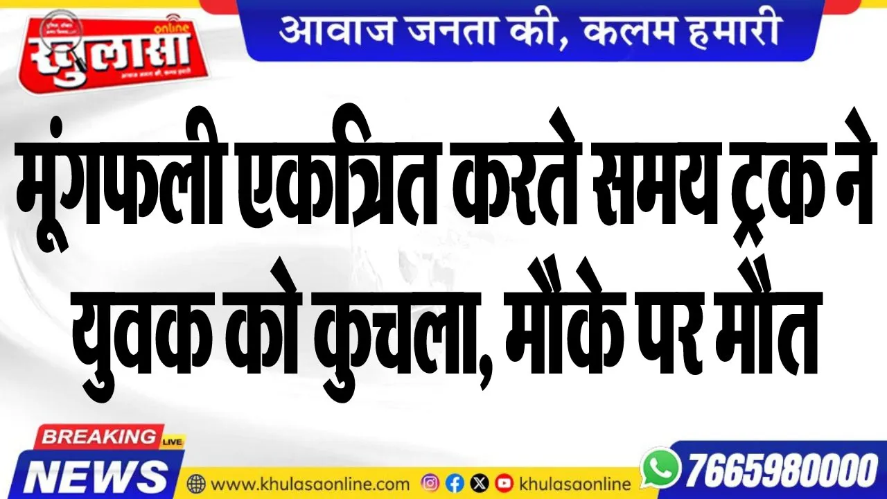 मूंगफली एकत्रित करते समय ट्रक ने युवक को कुचला, मौके पर मौत