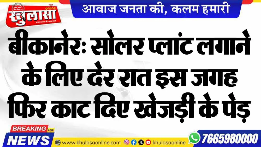 बीकानेर: सोलर प्लांट लगाने के लिए देर रात इस जगह फिर काट दिए खेजड़ी के पेड़