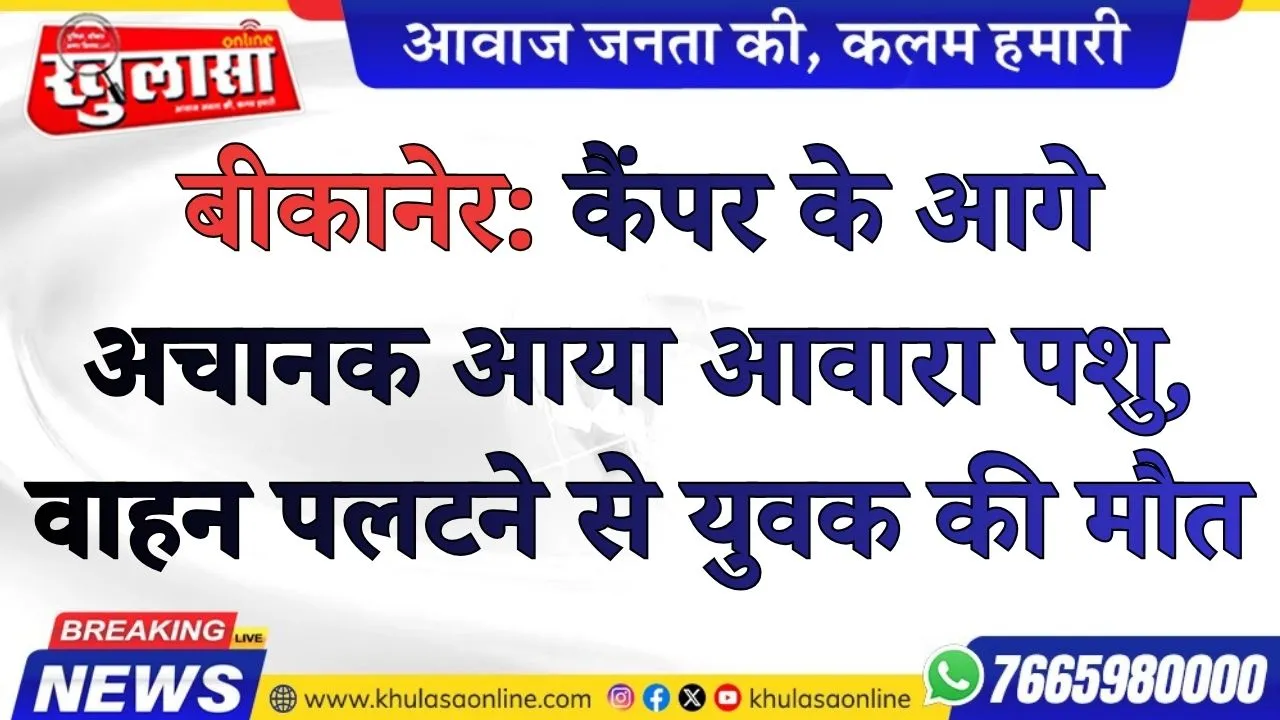 बीकानेर: कैंपर के आगे अचानक आया आवारा पशु, वाहन पलटने से युवक की मौत