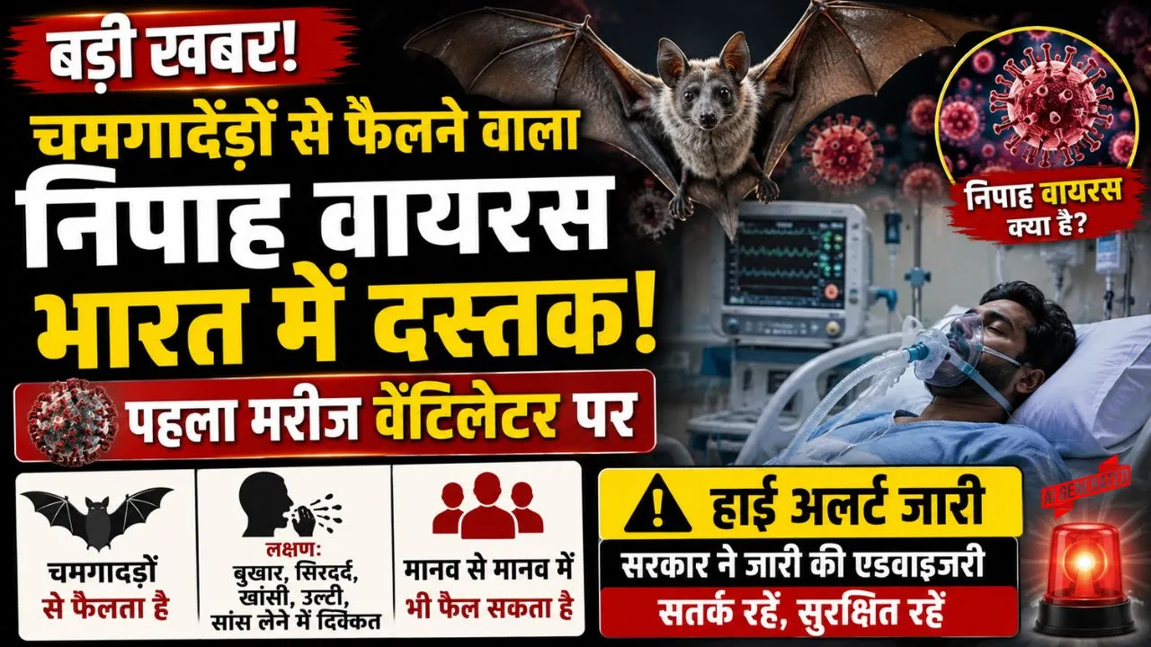 चमगादड़ों से फैलने वाले निपाह वायरस ने भारत में दी दस्तक, पहला मरीज वेंटिलेटर पर, हाई अलर्ट जारी