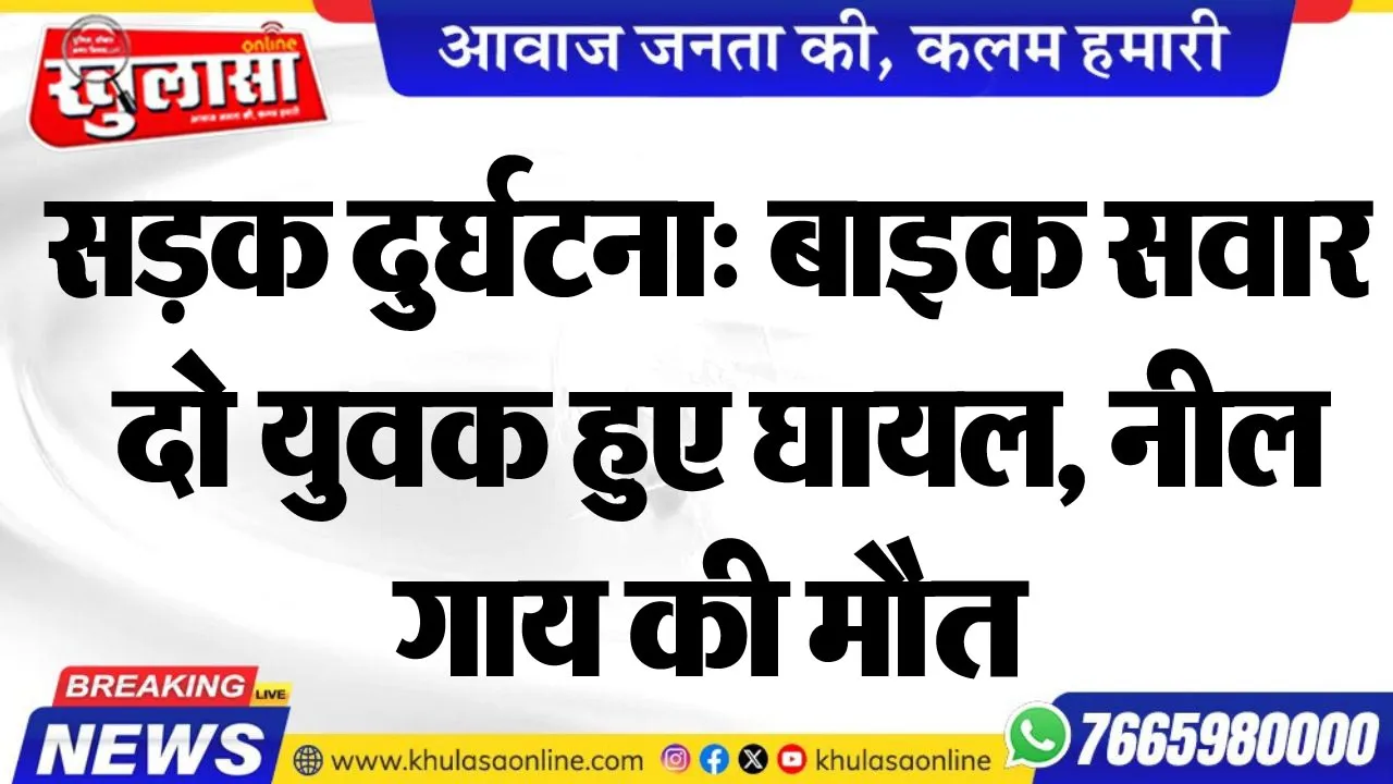 सड़क दुर्घटना: बाइक सवार दो युवक हुए घायल, नील गाय की मौत