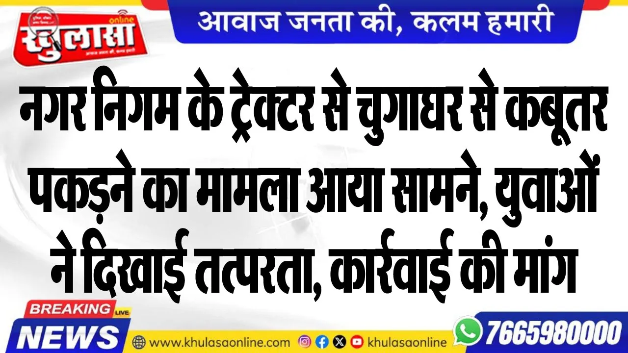 नगर निगम के ट्रेक्टर से चुगाघर से कबूतर पकडऩे का मामला आया सामने, युवाओं ने दिखाई तत्परता, कार्रवाई की मांग