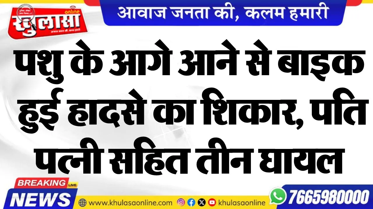 पशु के आगे आने से बाइक हुई हादसे का शिकार, पति-पत्नी सहित तीन घायल