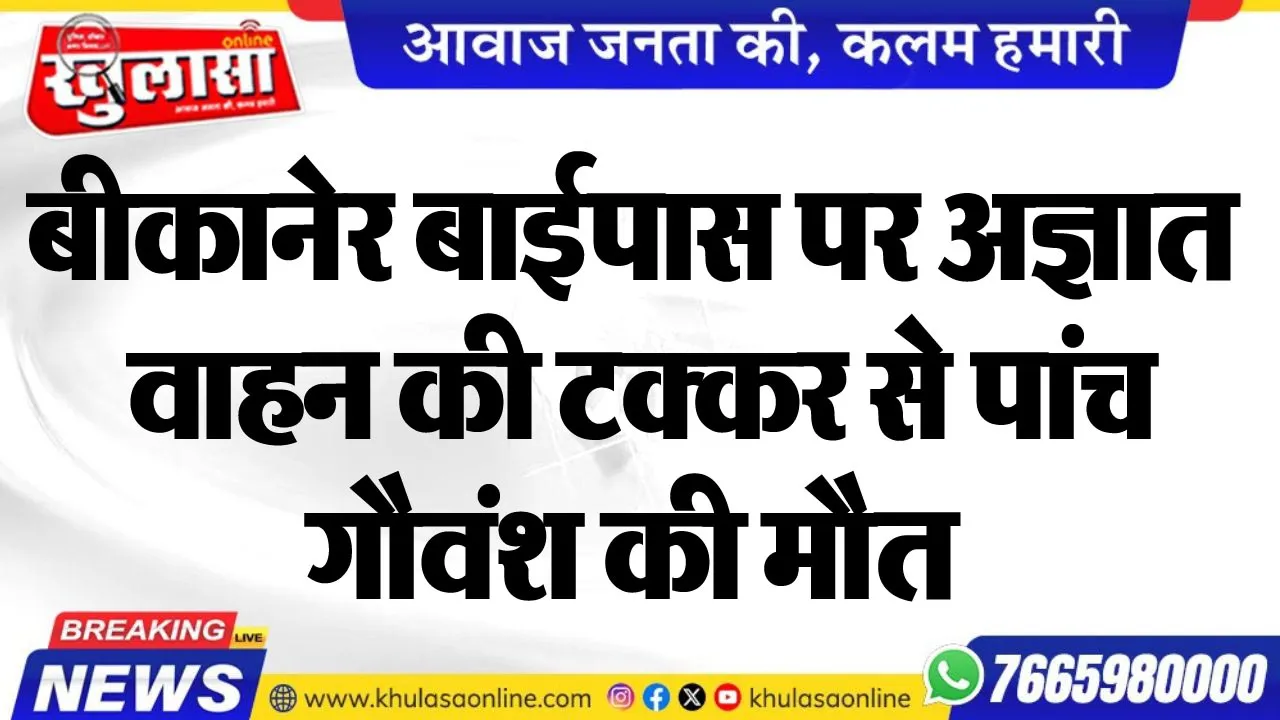 बीकानेर बाईपास पर अज्ञात वाहन की टक्कर से पांच गौवंश की मौत