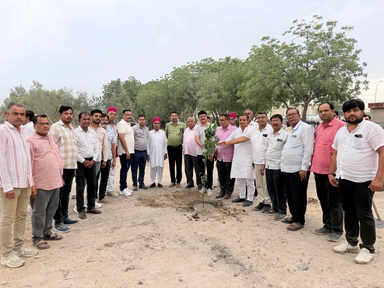 खारा उद्योग संघ ने 1100 पौधों का किया पौधारोपण