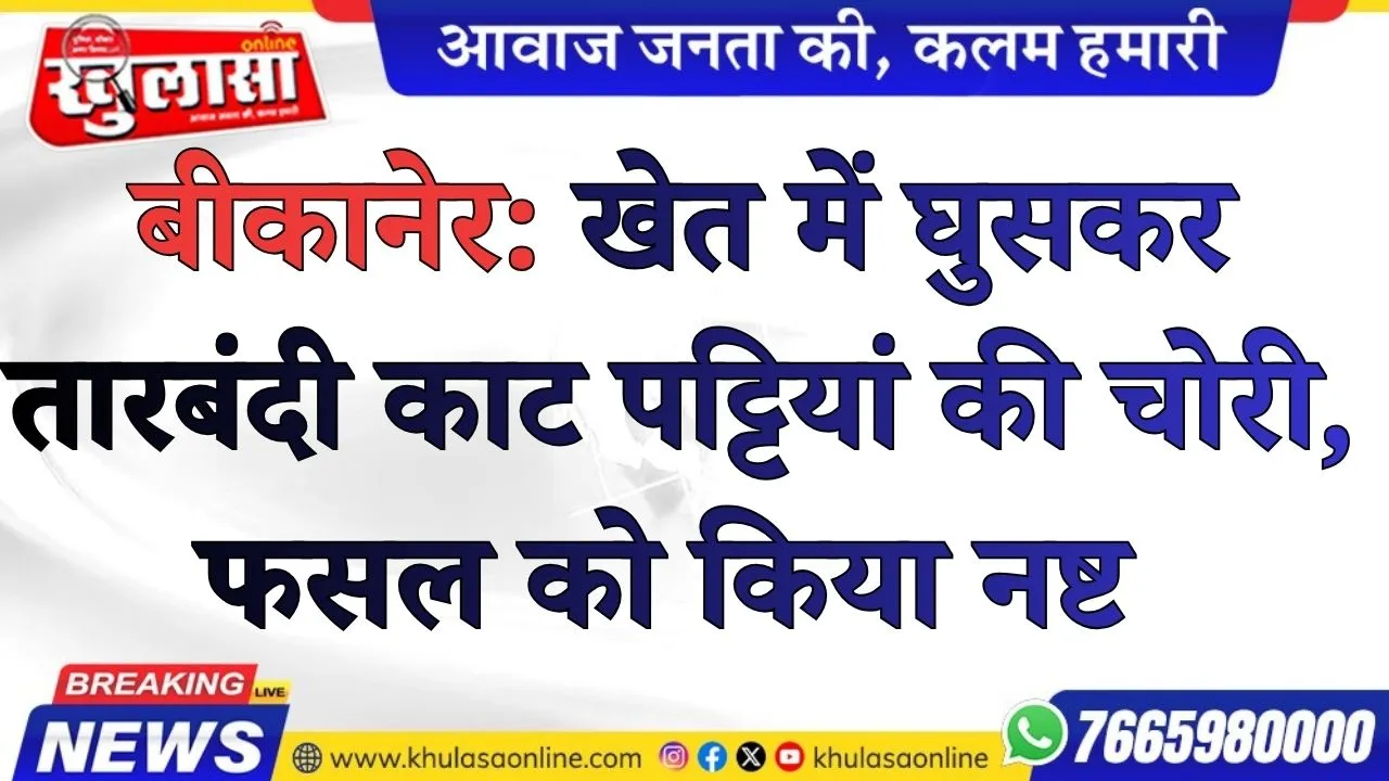 बीकानेर: खेत में घुसकर तारबंदी काट पट्टियां की चोरी, फसल को किया नष्ट