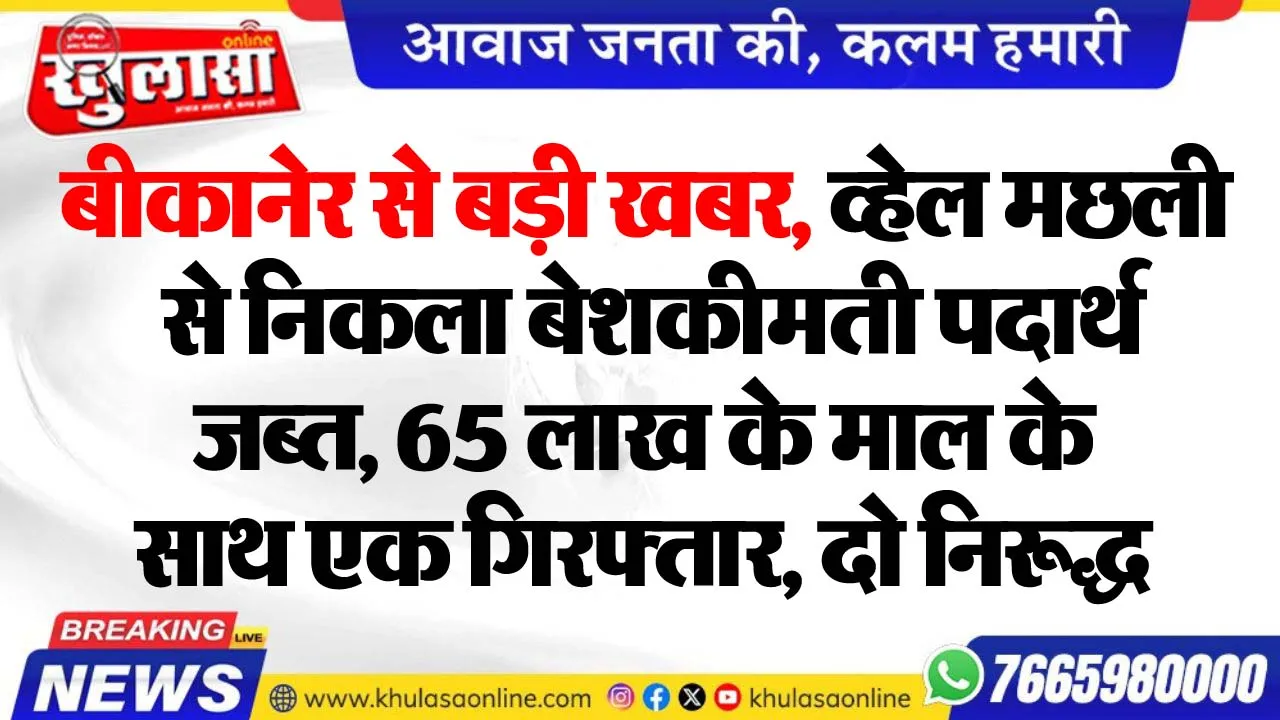 बीकानेर से बड़ी खबर, व्हेल मछली से निकला बेशकीमती पदार्थ जब्त, 65 लाख के माल के साथ एक गिरफ्तार, दो निरूद्ध
