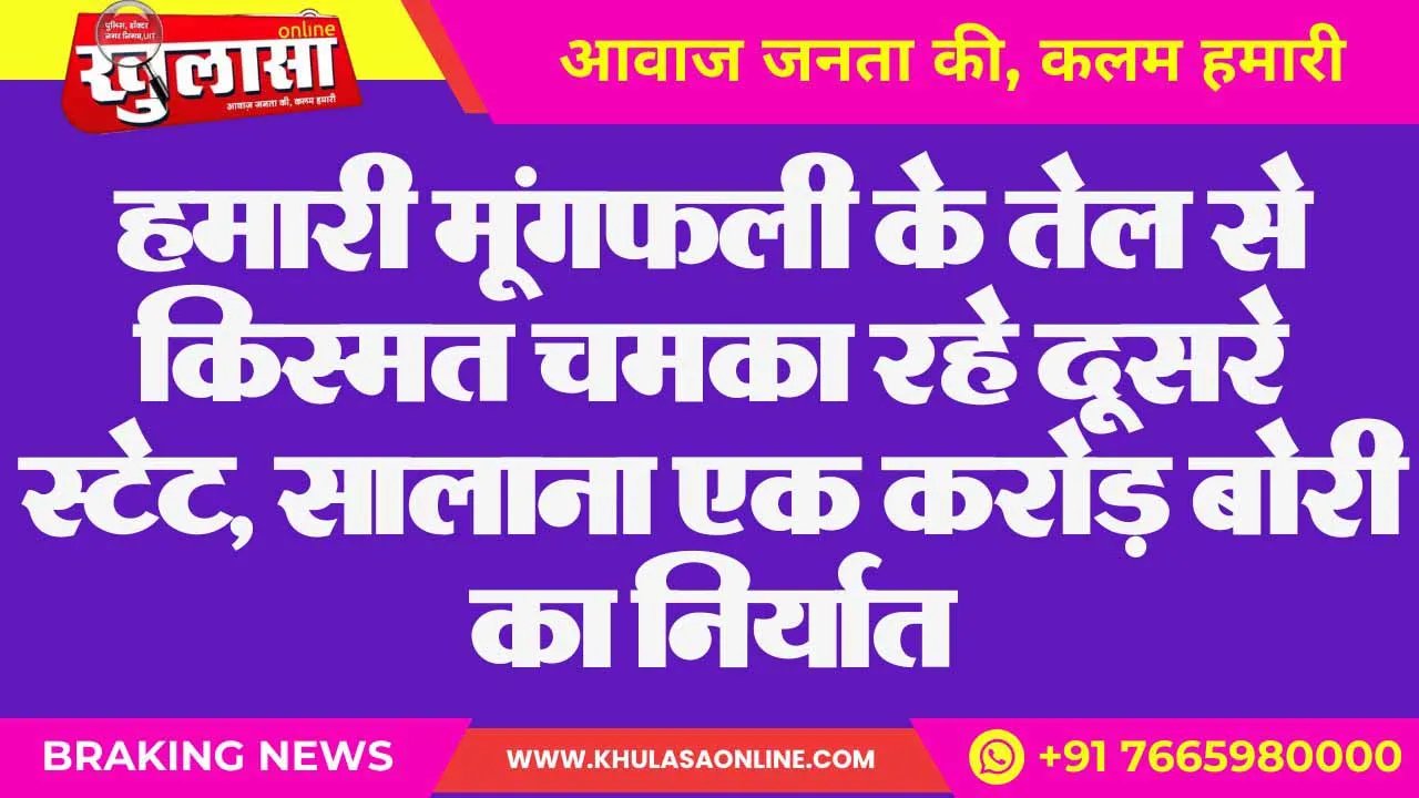 हमारी मूंगफली के तेल से किस्मत चमका रहे दूसरे स्टेट, सालाना एक करोड़ बोरी का निर्यात